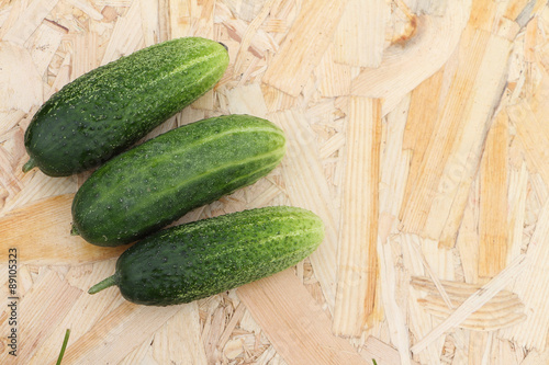 The fresh cucumbers lying on a table in a garden