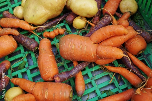 Trendy ugly misshapen root vegetable at a French farmers market