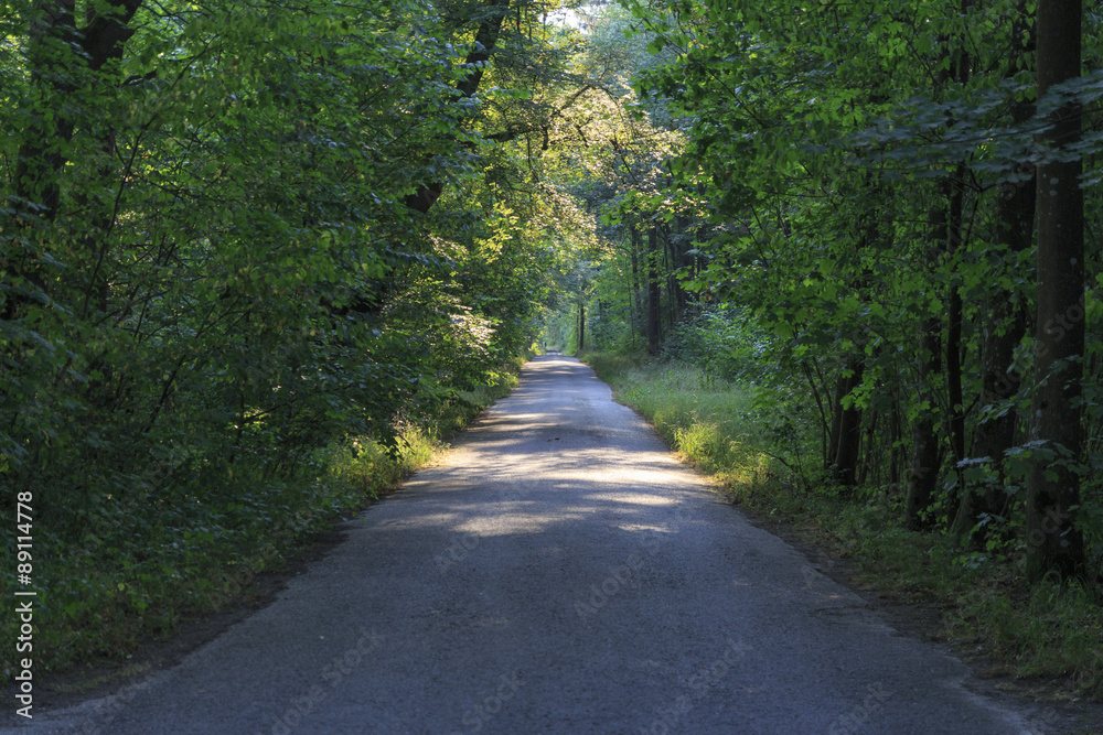 Waldweg