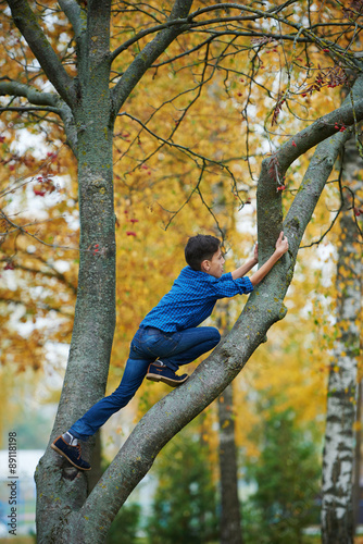 boy climbs up the tree in park