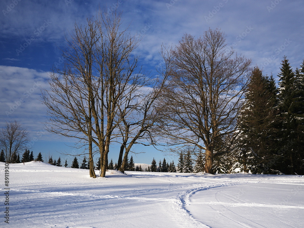 Winter scene in Jizera mountains Winter scene in Jizera mountains
