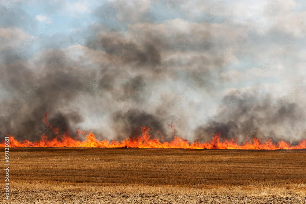 big flames in an harvested field catching fire