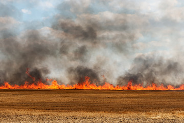 big flames in an harvested field catching fire