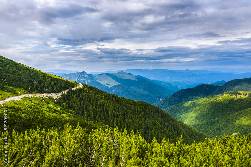 landscape with a mountain road in the Carpathians