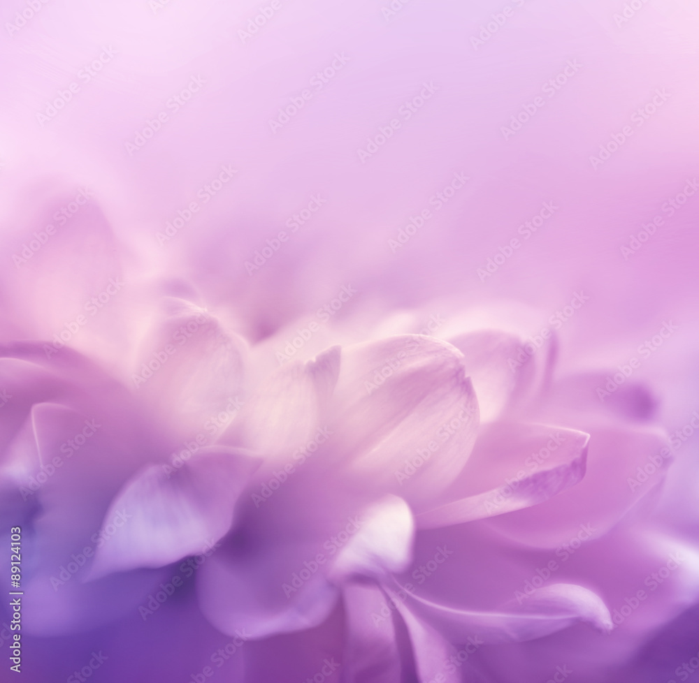 Soft focus flower background with copy space. Made with lensbaby