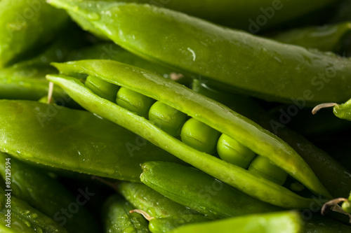 Fototapeta Naklejka Na Ścianę i Meble -  Organic Green Sugar Snap Peas
