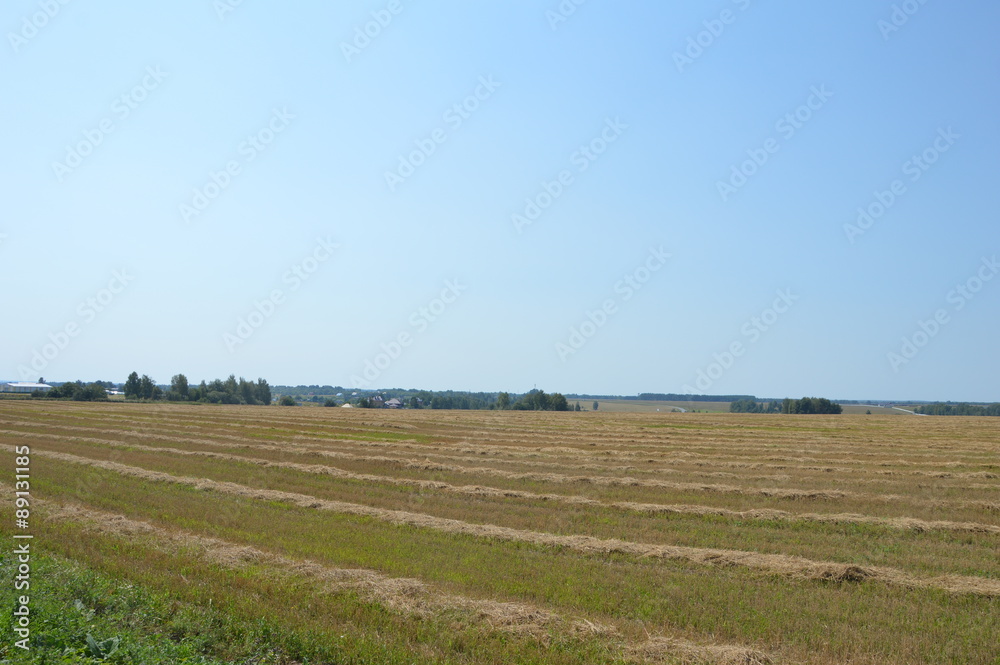 Obraz premium Август