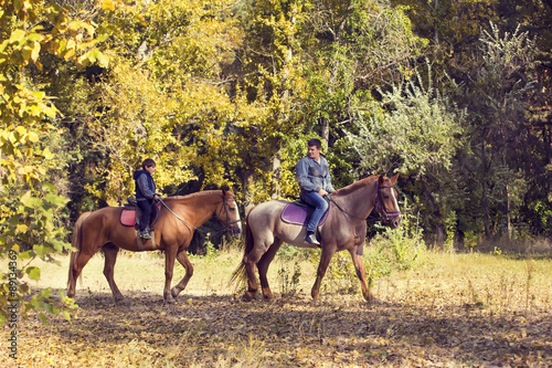 horse ride young guy autumn forest