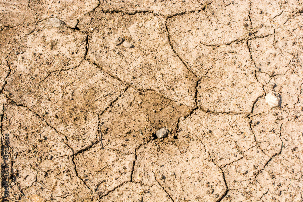 Fototapeta premium Trockenheit