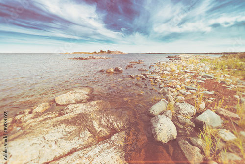 Coastal scene with vegetati...