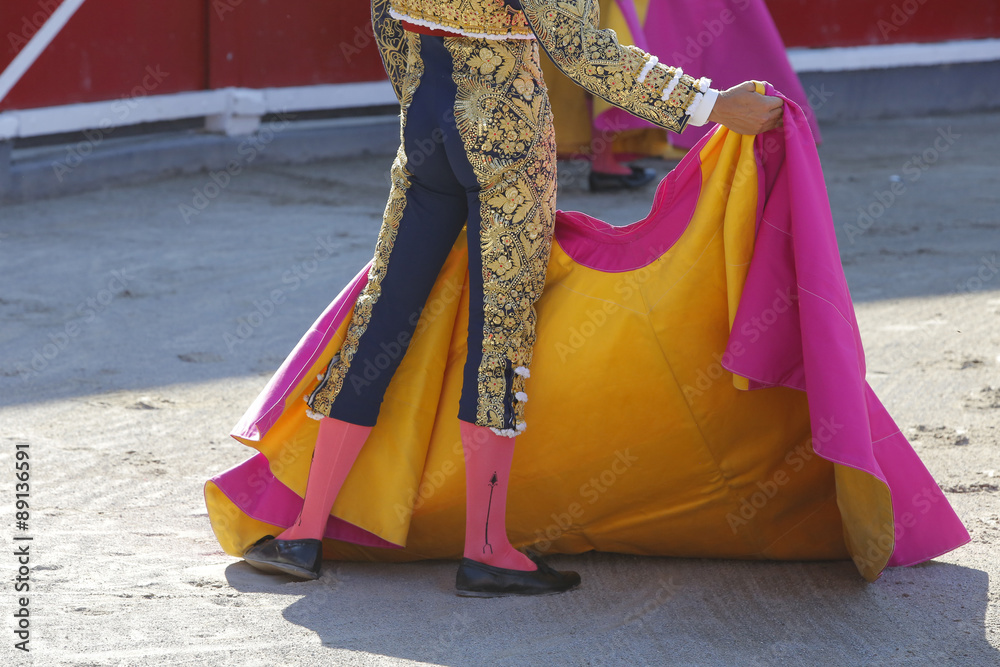 Naklejka premium bullfighter bullring