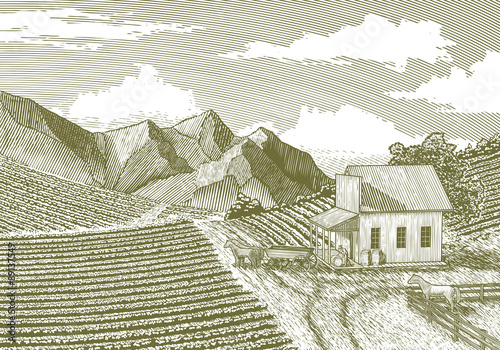 Woodcut Feed Store