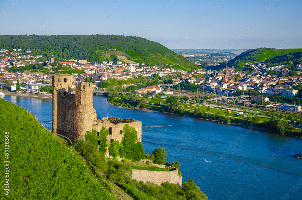 Ehrenfels Castle on Rhine river near Ruedesheim 