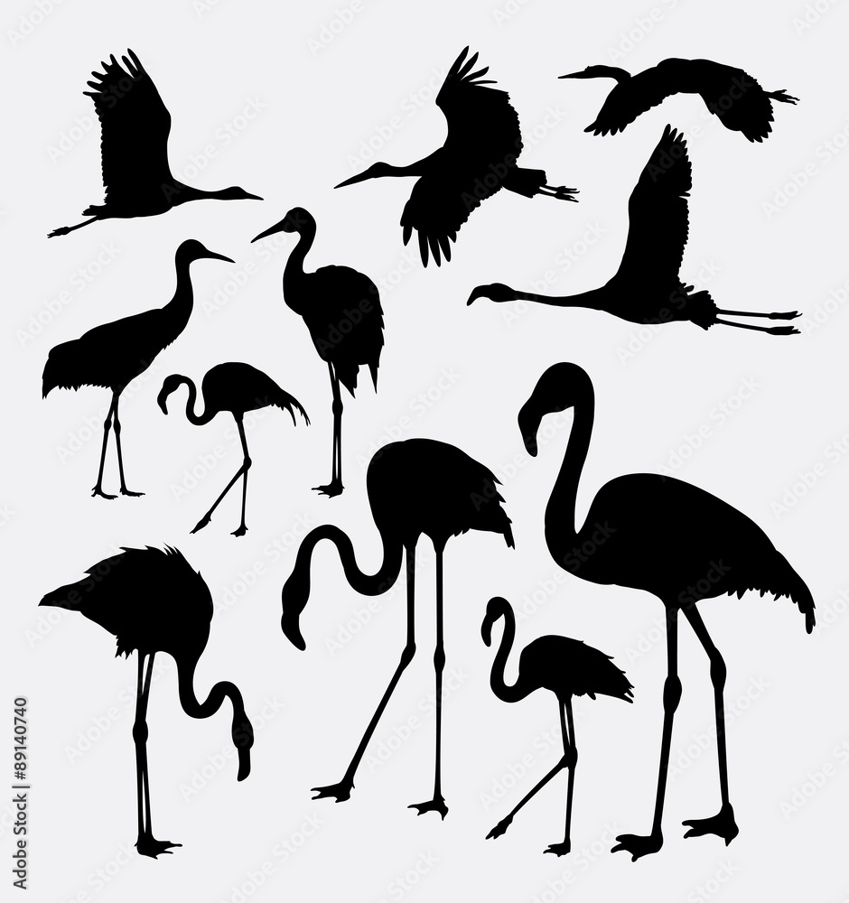 Naklejka premium Flamingo in action silhouettes