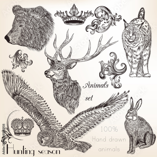Set of vector hand drawn animals