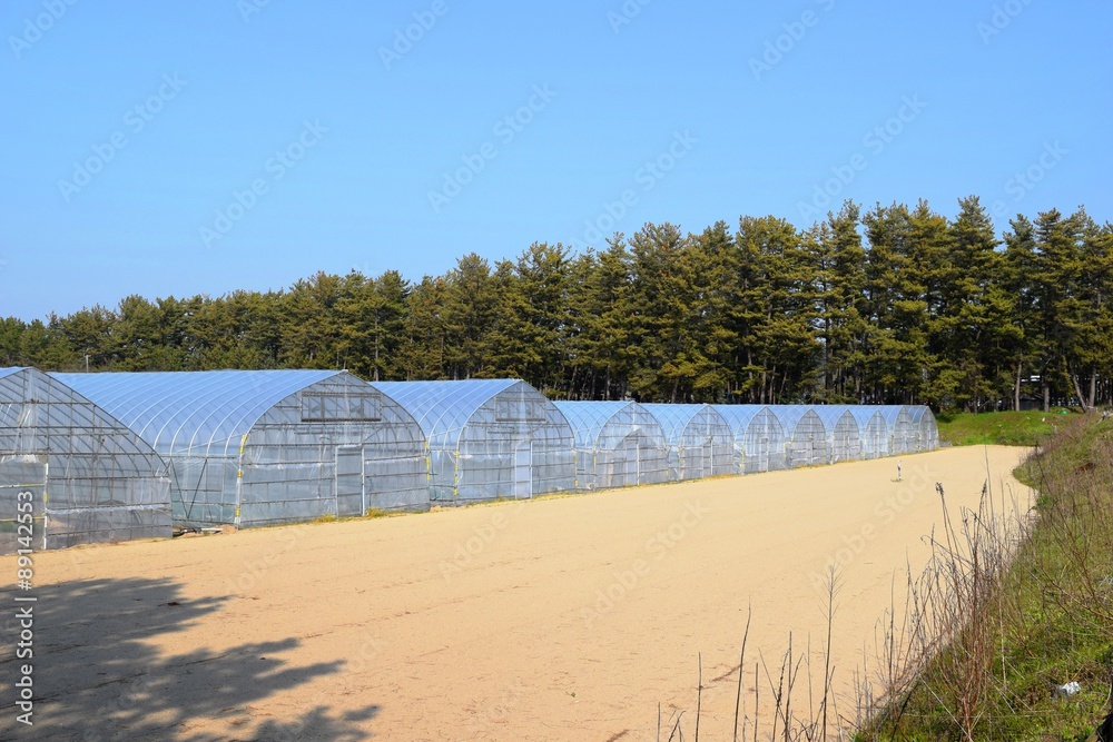 山形県の庄内地方で、色々な農業用ビニールハウスの風景を撮影した写真です。 山形県の庄内地方で、色々な農業用ビニールハウスの風景を撮影した写真です。