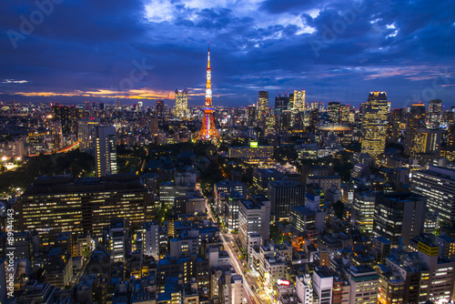 Tokyo, city aerial skyscape view of buildings and street. Japan,
