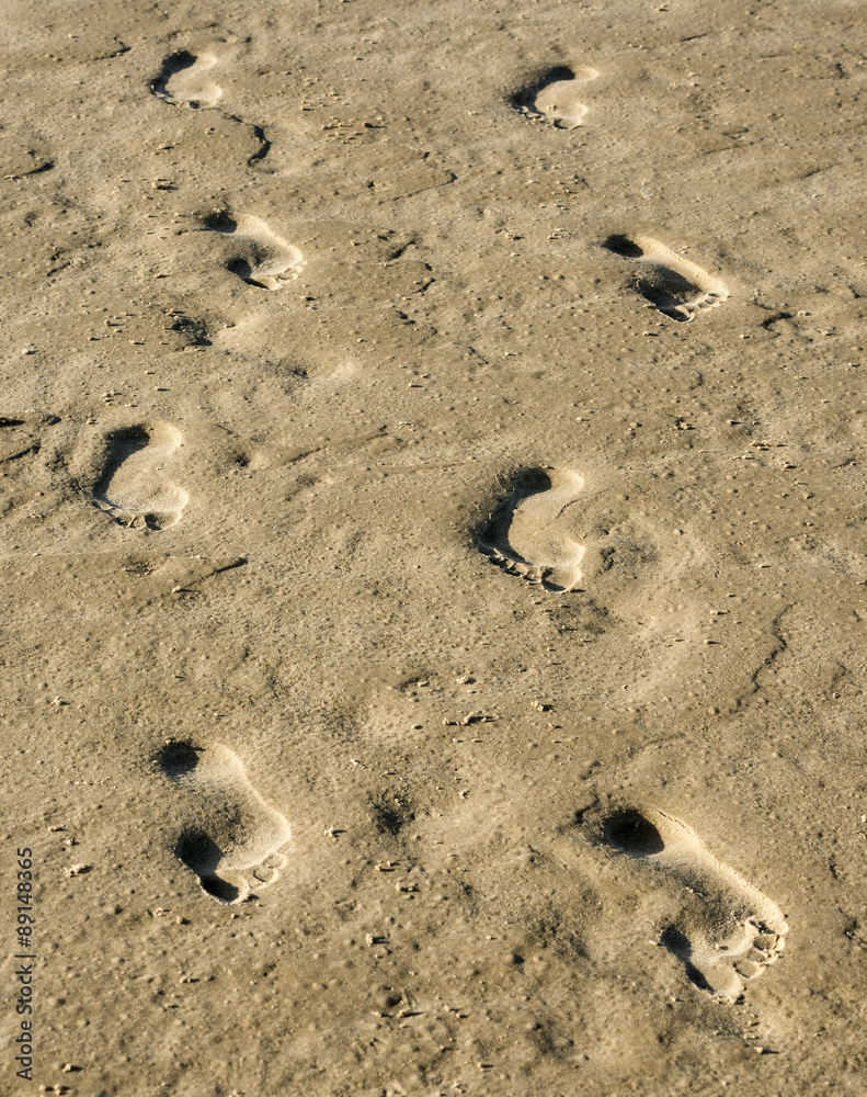 footprints on a beach footprints on a beach