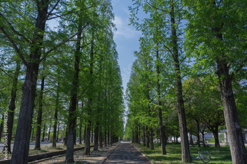 Gravel road of Turumi park in Osaka,Japan.