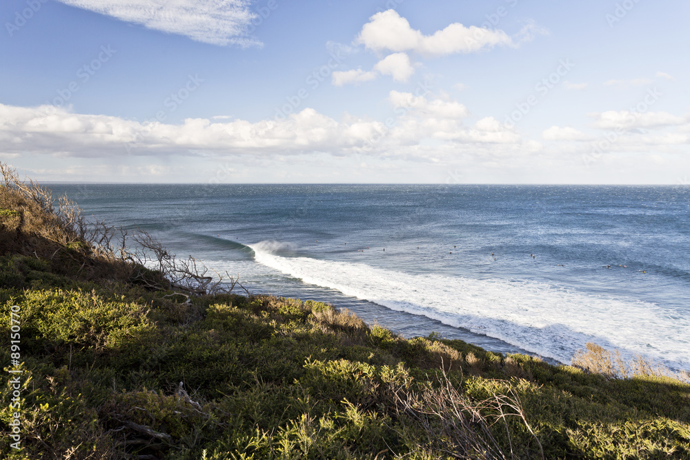 Surfers at Bells Beach