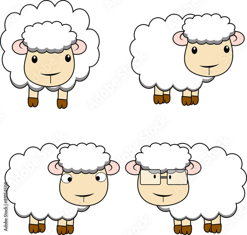 sheep