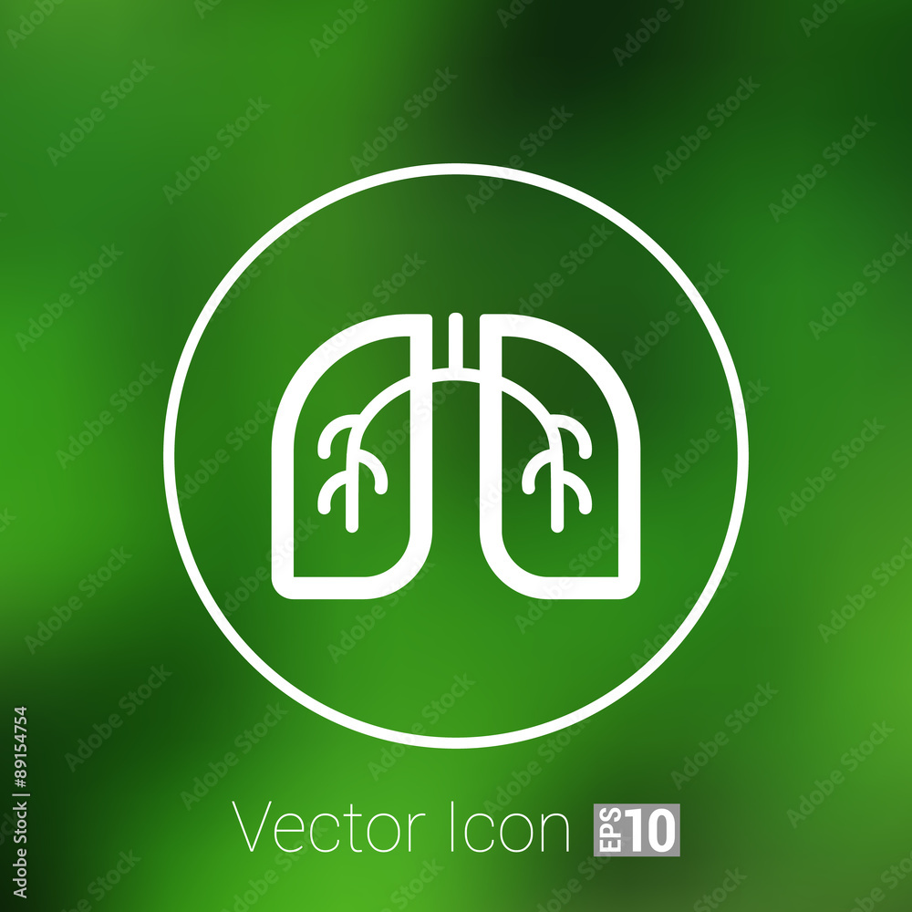 Lungs icon isolated on white background. VECTOR art Lungs icon isolated on white background. VECTOR art