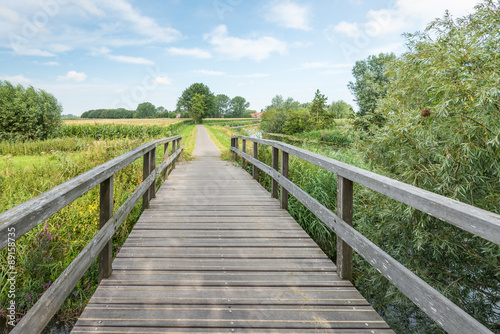 Wooden foot bridge in a rural landscape © Ruud Morijn