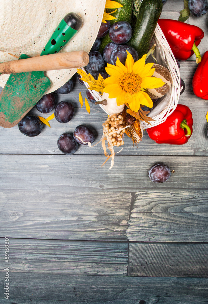 Fototapeta premium autumn