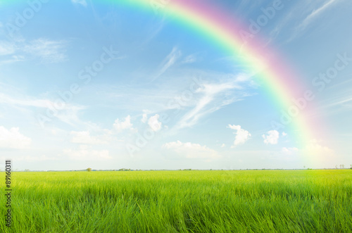 Rainbow and White clouds in blue sky background