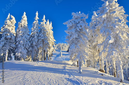 Beautiful winter landscape, ski slope in Poiana Brasov on mountain - Romania