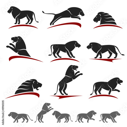 Fototapeta Naklejka Na Ścianę i Meble -  Lion set. Vector