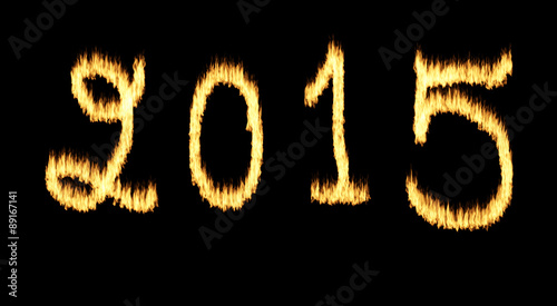 Fire flames2015