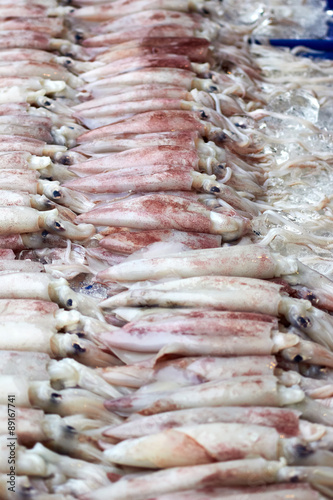 Fresh squid is in the fresh market.