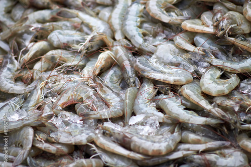 Fresh shrimp is in the fresh market.