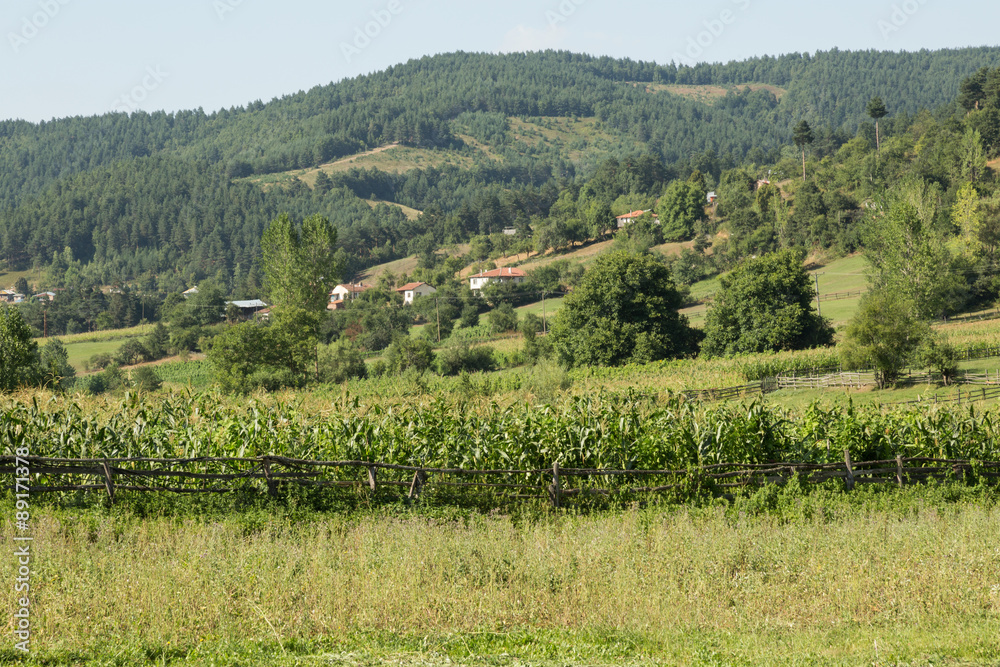 the countryside village of Elmalı in Bursa province, Turkey