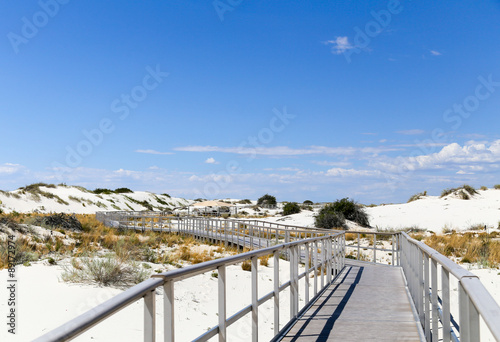 Interdune boardwalk photo