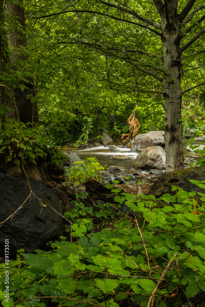 Sedona's Oak Creek on a Cloudy and Rainy Day Sedona's Oak Creek on a Cloudy and Rainy Day