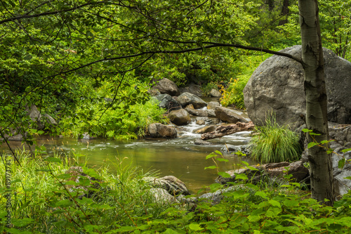 Sedona's Oak Creek on a Cloudy and Rainy Day