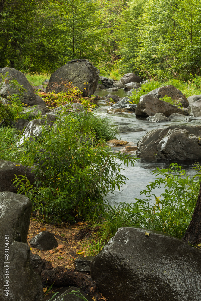 Sedona's Oak Creek on a Cloudy and Rainy Day