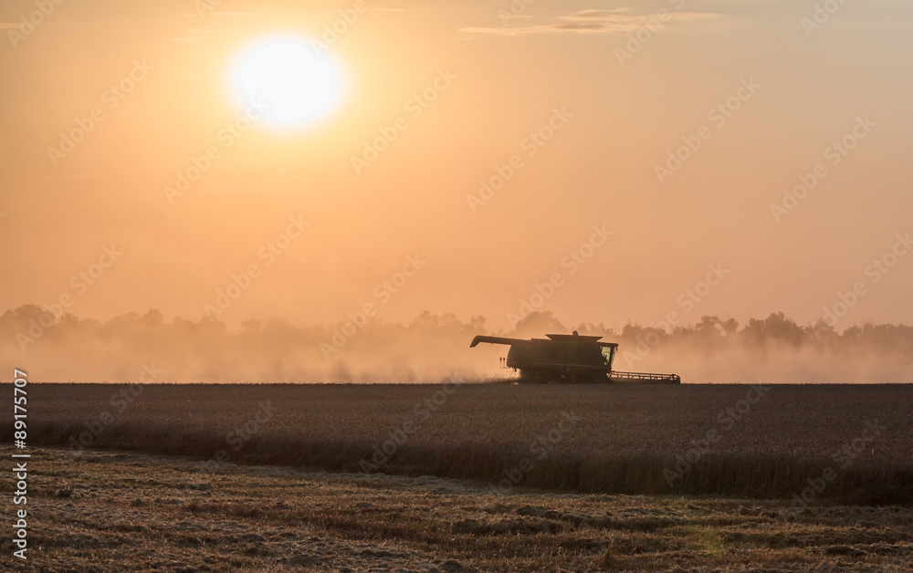 Obraz premium Harvesting at sunset