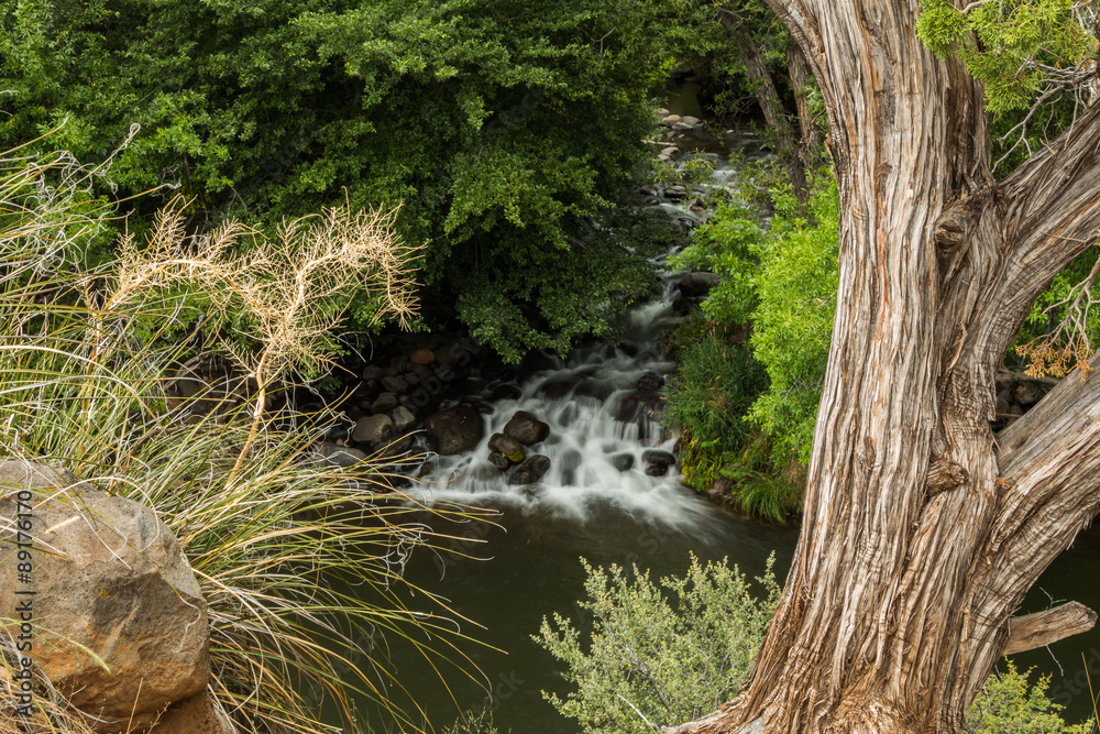 Fototapeta premium Sedona's Oak Creek on a Cloudy and Rainy Day