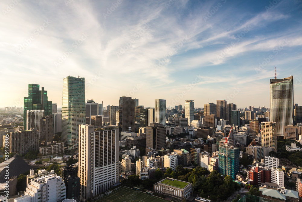 Tokyo skyline at sunset in Japan capital city Tokyo skyline at sunset in Japan capital city