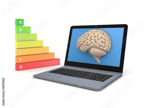 Human brain on a screen of laptop.