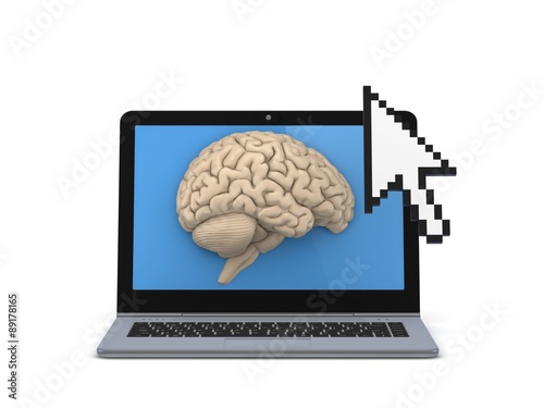 Human brain on a screen of laptop.