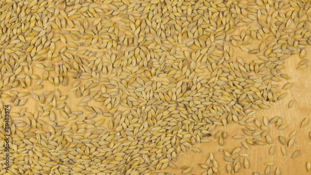 Barley falling on the wooden background, top view Barley falling on the wooden background, top view
