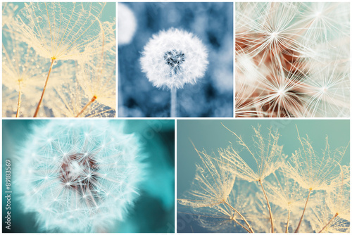 Beautiful nature collage wi...