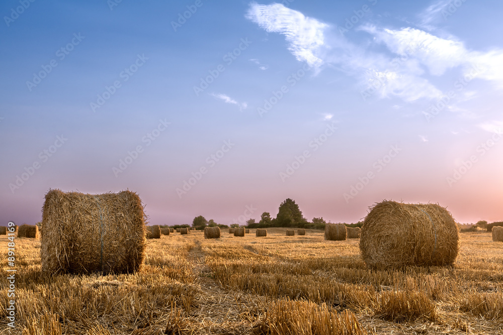 Bales of hay