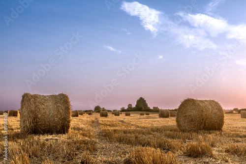 Bales of hay © serbbgd