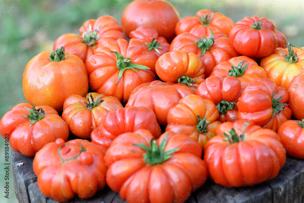 Organic tomatoes Organic tomatoes