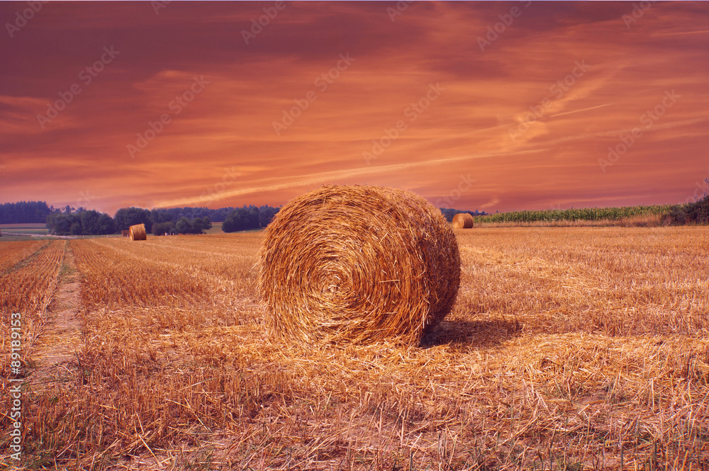 Field with bales of hay with beautiful sunset Field with bales of hay with beautiful sunset